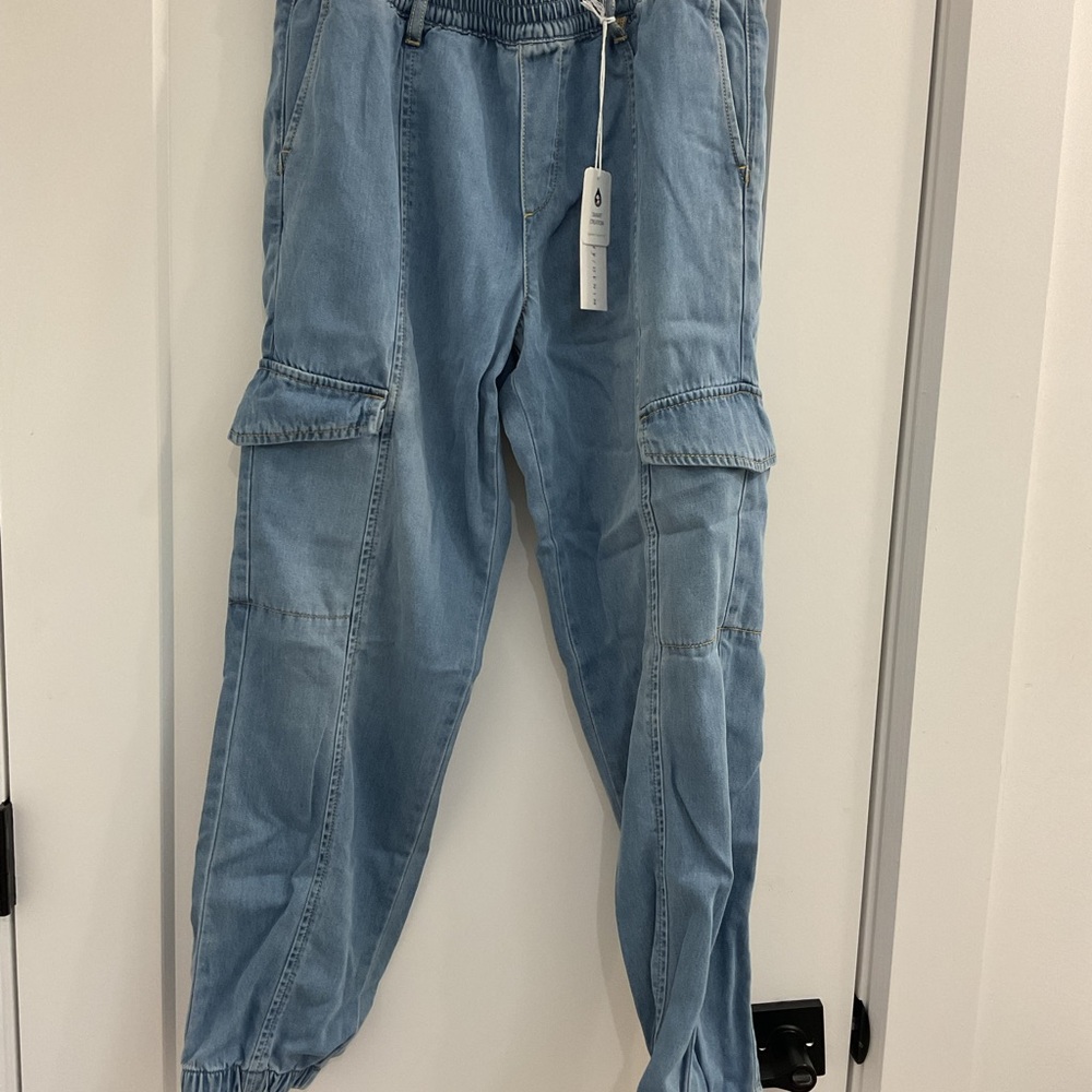 Sanctuary Blue Jogger Pants